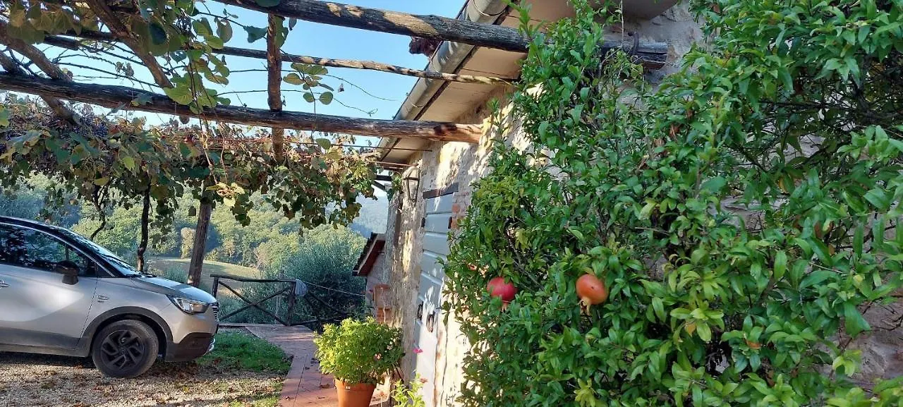 Agriturismo La Scarpaia Villa Anghiari Farm stay