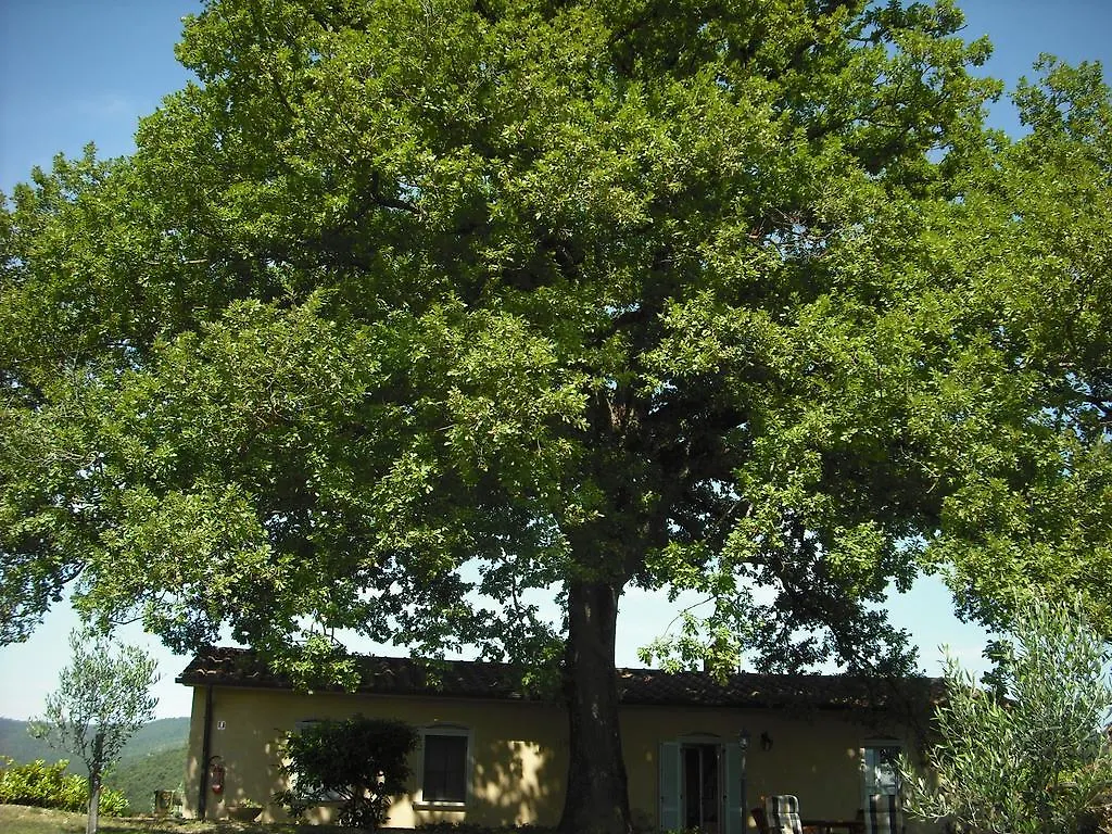 Agriturismo La Scarpaia Villa Anghiari Farm stay