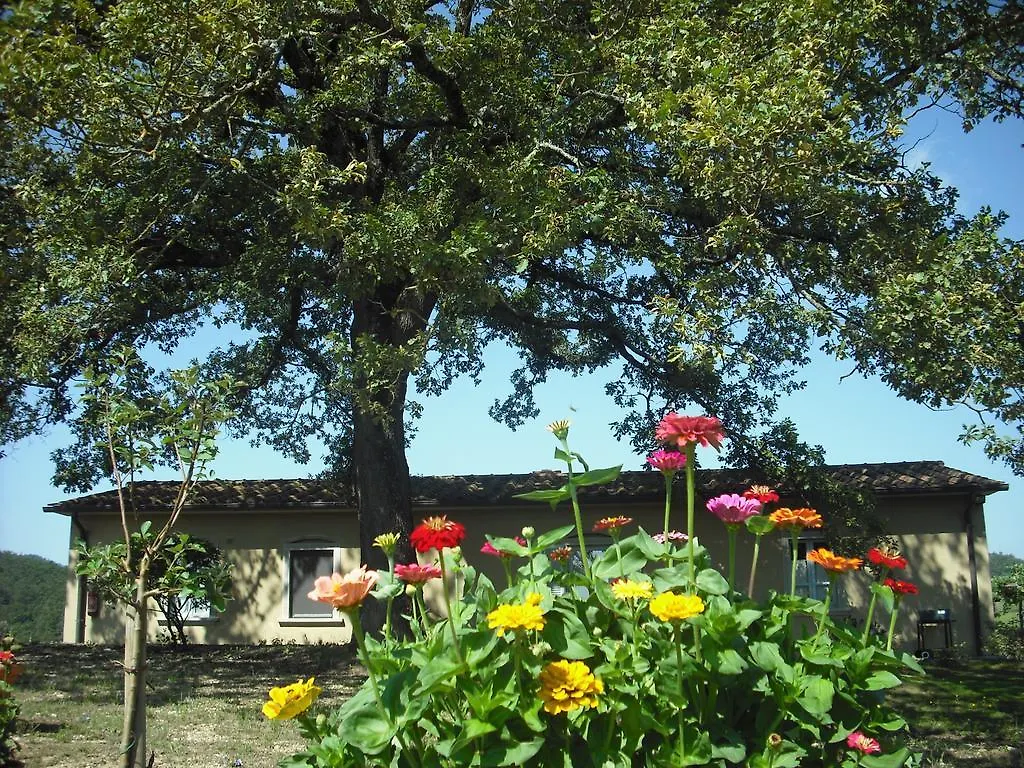 Farm stay Agriturismo La Scarpaia Villa Anghiari