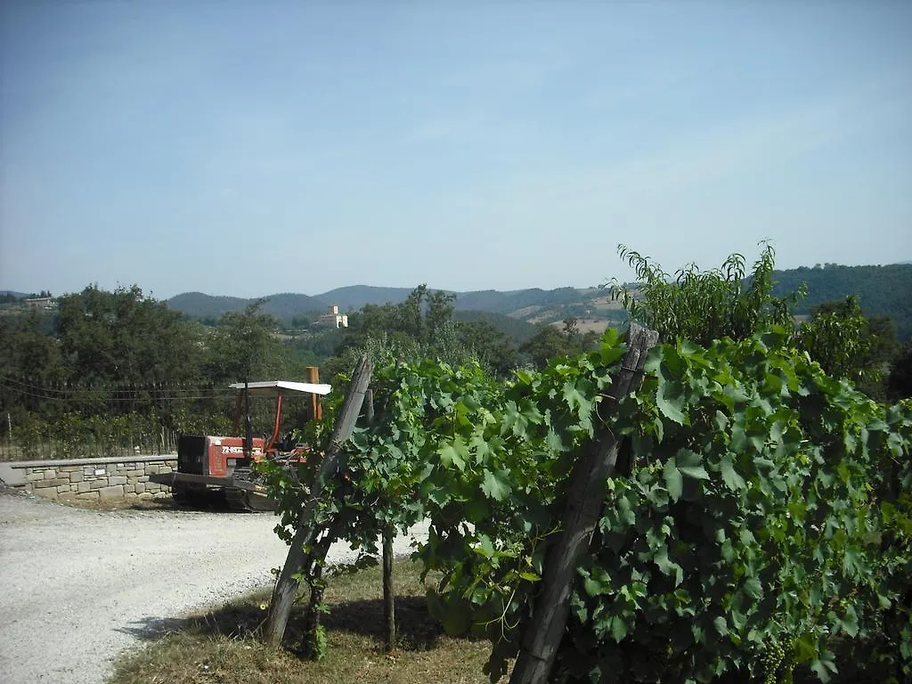 Farm stay Agriturismo La Scarpaia Villa Anghiari