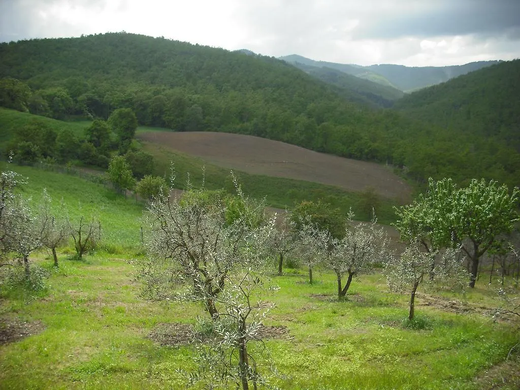 Agriturismo La Scarpaia Villa Anghiari