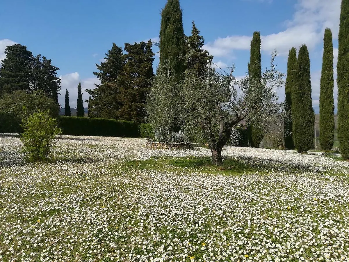 Agriturismo La Scarpaia Villa Anghiari