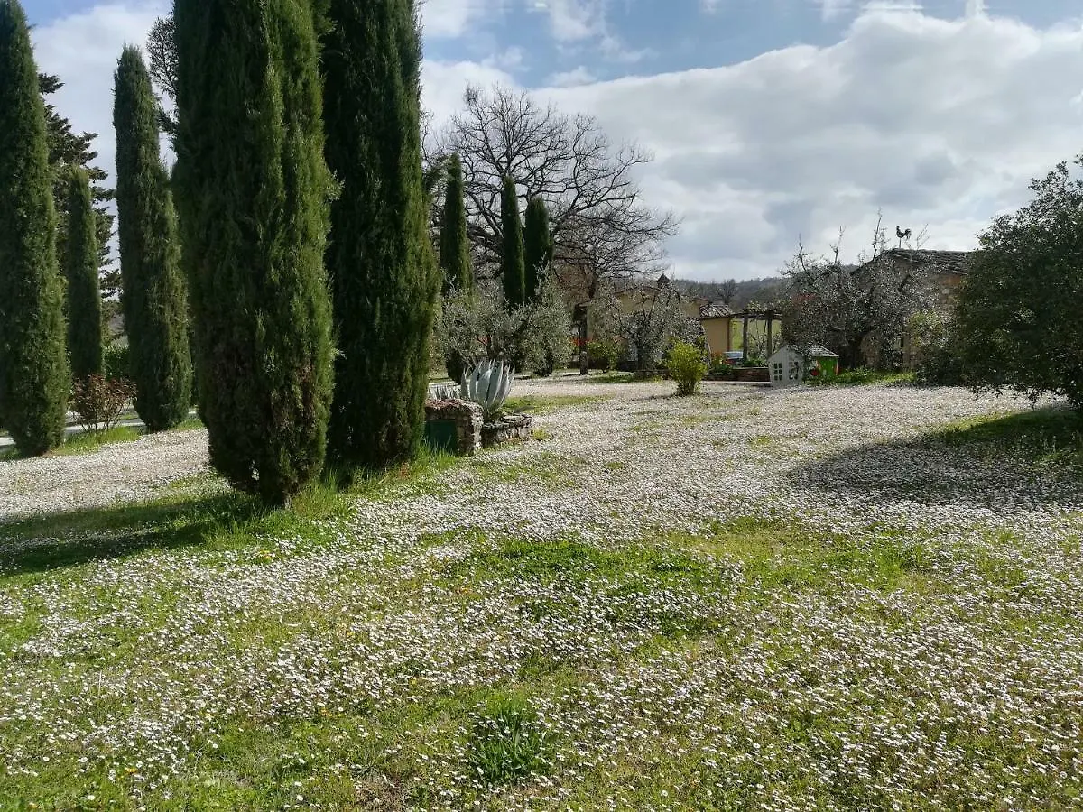 Agriturismo La Scarpaia Villa Anghiari 0*,