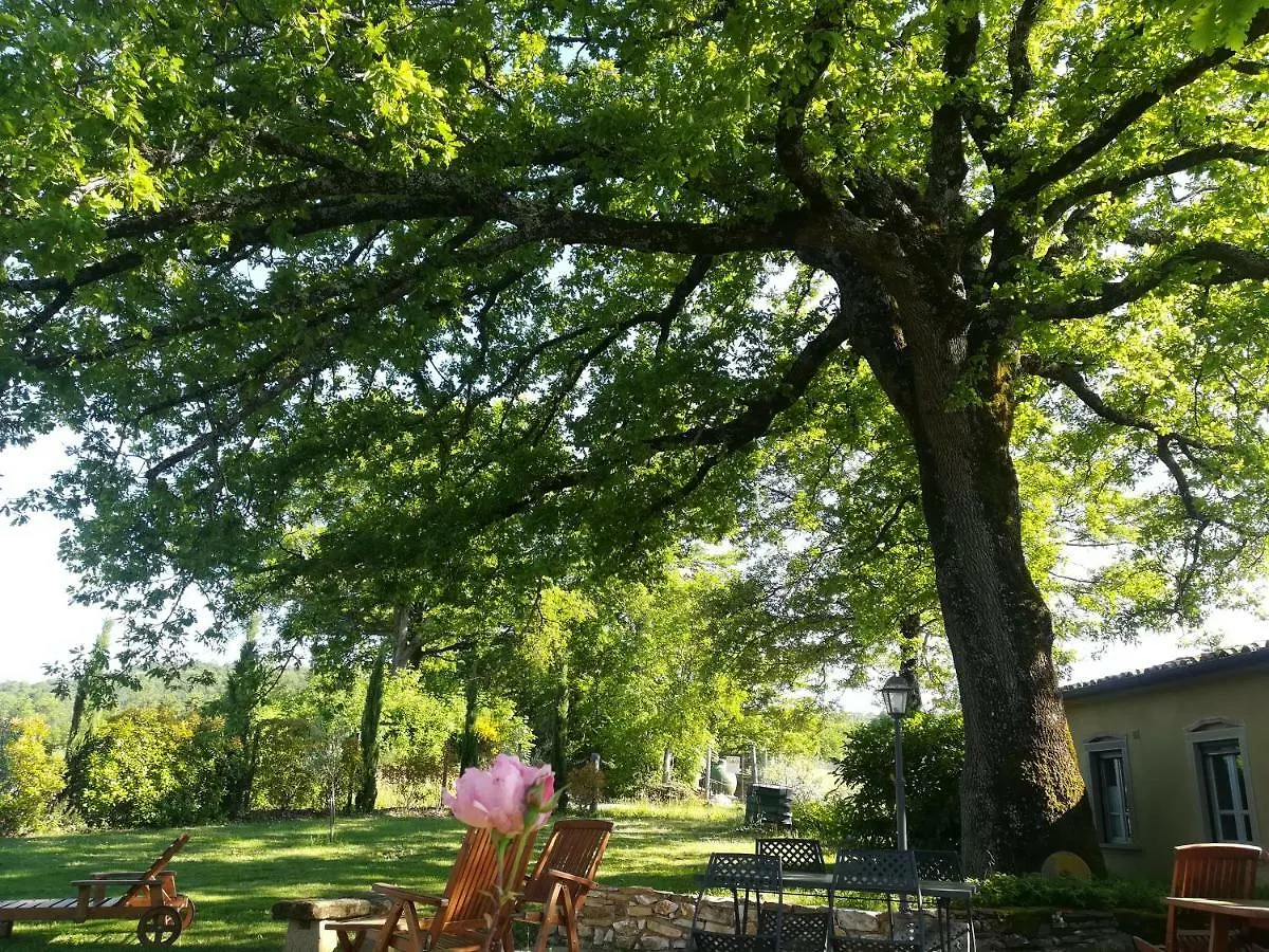 Farm stay Agriturismo La Scarpaia Villa Anghiari