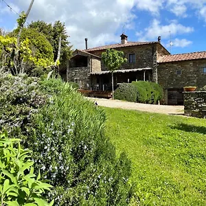 Del Viandante Anghiari